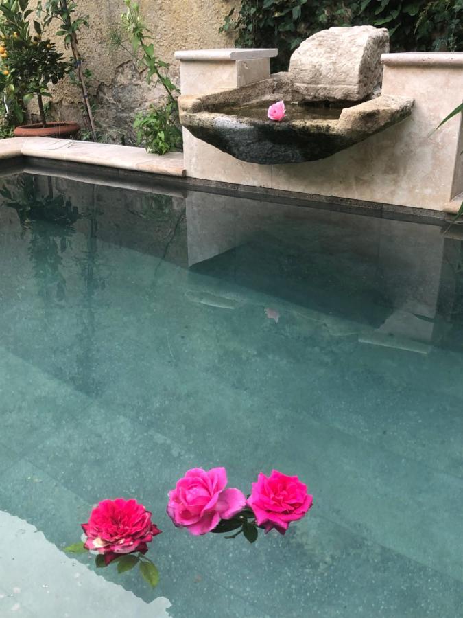 Le Clos De La Cathedrale バザス エクステリア 写真