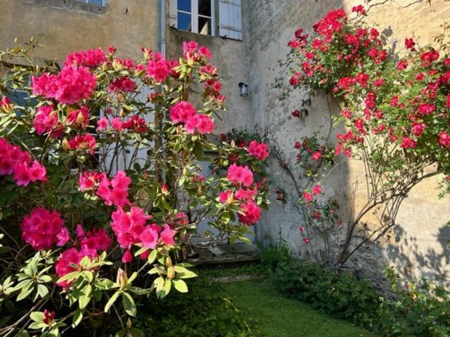 Le Clos De La Cathedrale バザス エクステリア 写真